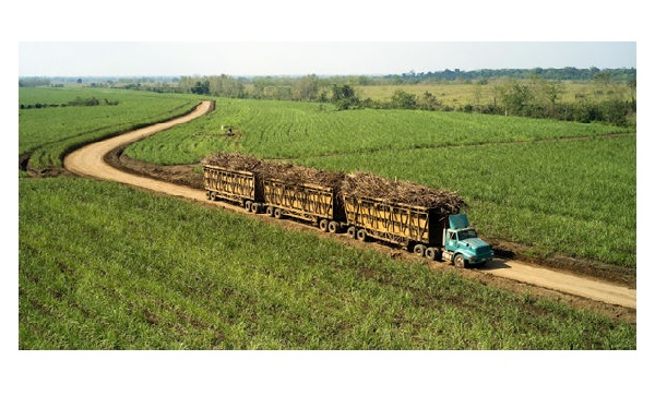 Regiones tienen $ 1,5 billones para invertir en ciencia