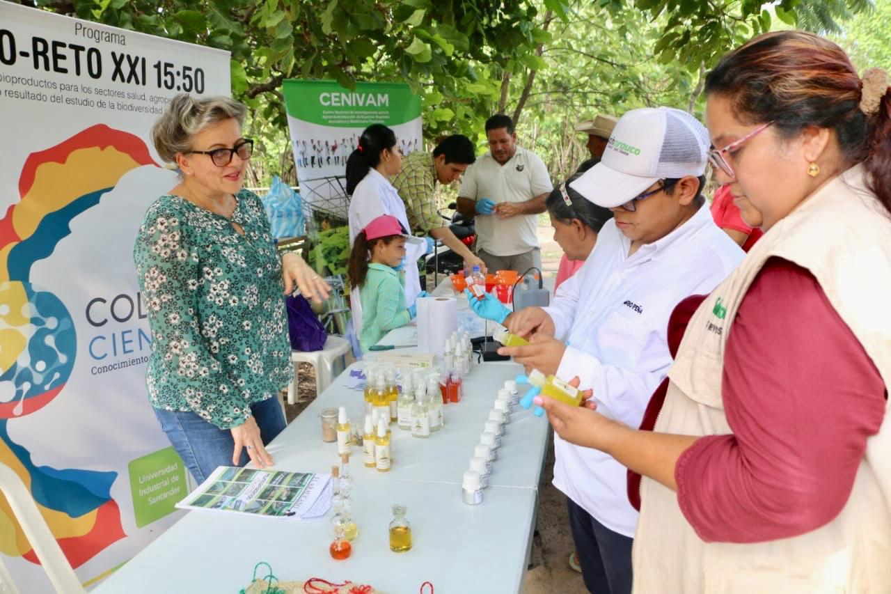 Proyecto de articulación busca aprovechar la composición química de los aceites esenciales y extractos de plantas aromáticas